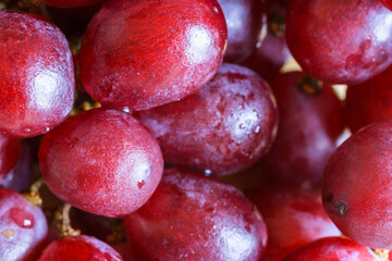 Close up of a bunch of grapes