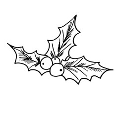 Mistletoe Christmas decor. Hand drawn vector illustration. Christmas botanical element.