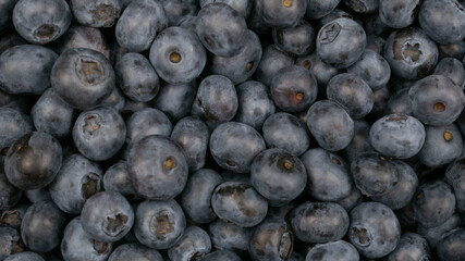 Raw blueberry background.