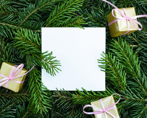 Festive background with Christmas tree branches and gifts with place for text