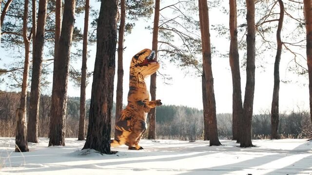 Dinosaur Tirex runs in winter through the forest on a sunny day