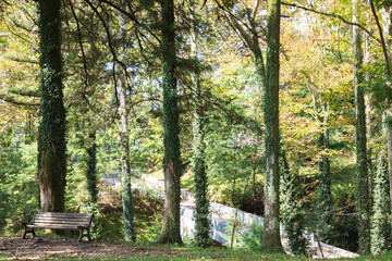 Concrete road through a large green Park in Salkhino. A rest shop. Martvili district