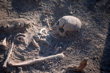 Medieval human remains unearthed during archaeological excavations