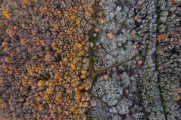 Aerial views autumnal landscape