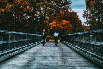 a moody autumn day in the world. whit great color and halloween feeling.