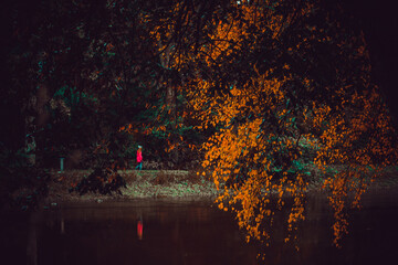 a moody autumn day in the world. whit great color and halloween feeling.