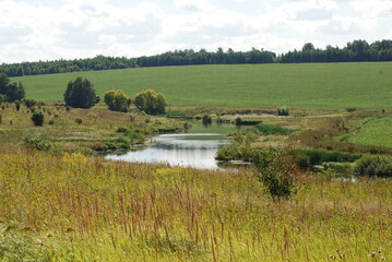 Fototapeta na wymiar lake in the countryside