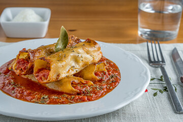 Homemade cannelloni with spices and tomato sauce