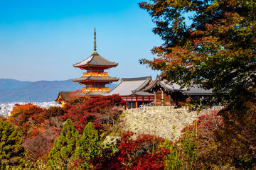 Obraz premium 秋の清水寺 三重塔と紅葉