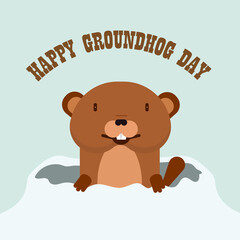 Groundhog from winter burrow, vector art illustration.