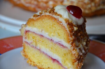 One piece of traditional german Frankfurter Kranz cake (Frankfurt Crown Cake), butter cream and jelly filling, hazelnut cracknel on top, homemade, plate, blurred background