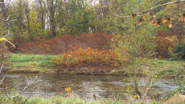 Aulandschaft