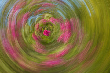 Artsy swirling motion blurred purple flowers