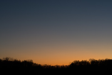 Fototapeta na wymiar sunset in the sky with tree silhouettes