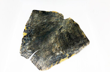 Pressed tortoise shell