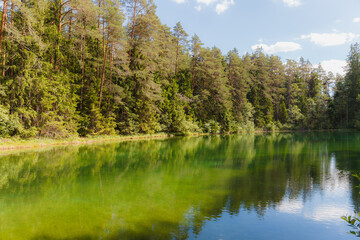 Amazing crystal clear and emerald water in the forest lake. Pine forest. Sunny summer day.