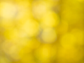 Riding & Shooting (MTB)