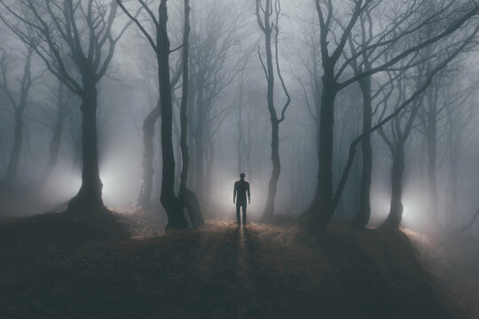 walking in the woods