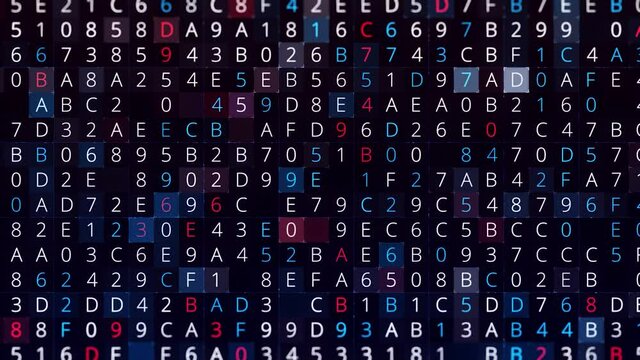 Abstract hacking background, programming code strings changing on screen, seamless loop. Animation. Hacking a password by automatic symbol selection.
