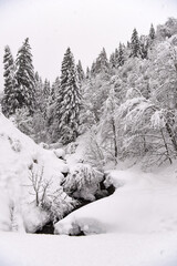 montagne neve inverno freddo era glaciale infreddolito 