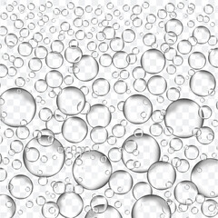 Bubbles in water on transparent background. Bubbles in water for wallpaper, texture background and pattern template. Water bubbles, vector background