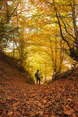 Young woman admiring the forest covered by leafs in autumn.