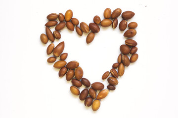 argan tree nuts Argania spinosa on a white background laid out in the form of a heart. For the...
