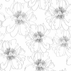 Hand drawn sketch illustration of white peony flowers seamless pattern. Floral background, backdrop element for fabric, textile design, wedding.