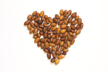argan tree nuts Argania spinosa on a white background laid out in the form of a heart. For the production of argan oil. 