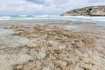 Inter-tidal sandstone platforms at low tide