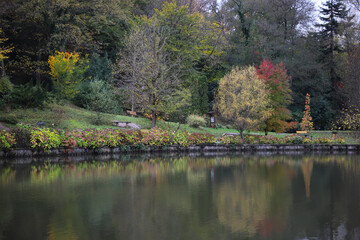 Fototapeta na wymiar Forest and lake during autumn