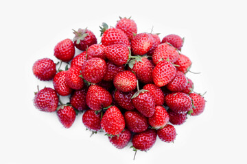 Beauty In Nature, Berry Fruit, Bright, Close-up, Cut Out