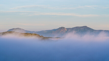 Obraz premium Many houses in in the mist in the morning. Early morning fog and mist burns off over large houses nestled in green rolling hills