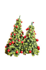 Decorated Ball Red On Christmas Green Tree For New Year Isolated On White Background.