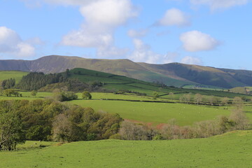 Fototapeta na wymiar A rural scene looking towards Snowdonia near Dylife, mid Wales, UK. 