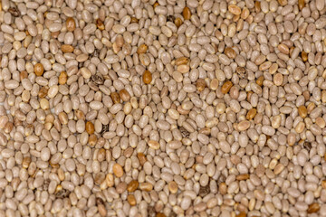 Close up of white chia seeds