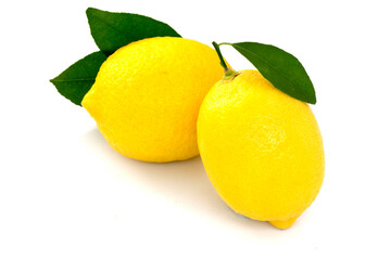yellow lemon citrus fruit and green leaves