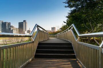 stairs with handrails on both sides in a park