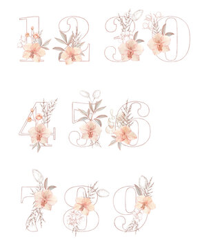 Hand drawn collection of the floral numbers with watercolor flowers.  Perfectly for wedding invitation, greeting card, logo, poster. Holiday decoration hand painting.