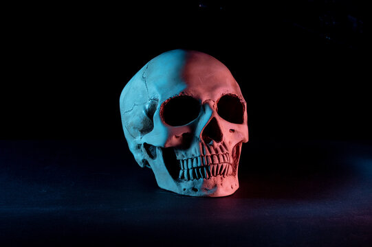 Human skull on a black background. Colored illumination of the skull. Skull turned to the side.