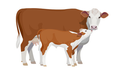 Farm animal - Cow with Calf. Hereford - The Best Beef Cattle Breeds. Vector Illustration.