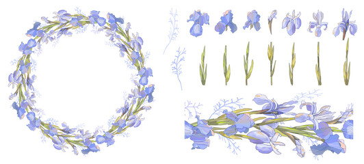 Set of floral template, seamless pattern and irises isolated on white.