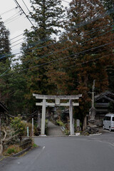 Torii - japanese gate