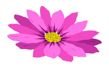 Pink flower vector flat isolated colorful illustration