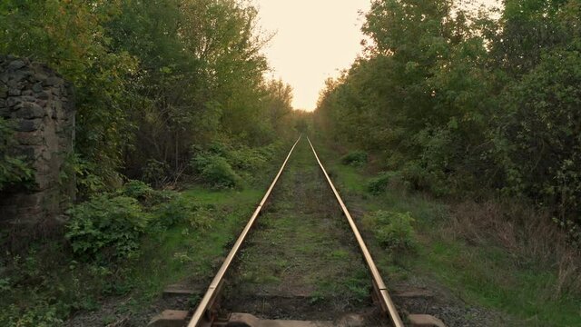 Moving forward along train tracks laid through forest