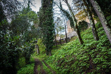 Obraz premium Paths around the woods of Convent of Christ, Tomar, Portugal
