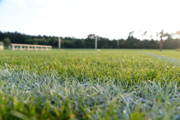 Rasen auf Fussballplatz