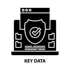 key data icon, black vector sign with editable strokes, concept illustration