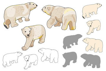 Vector white polar bears set isolate on white background. Bear Silhouettes on white background.
