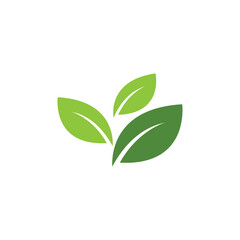 Leaf  ecology Logo Template vector symbol nature
